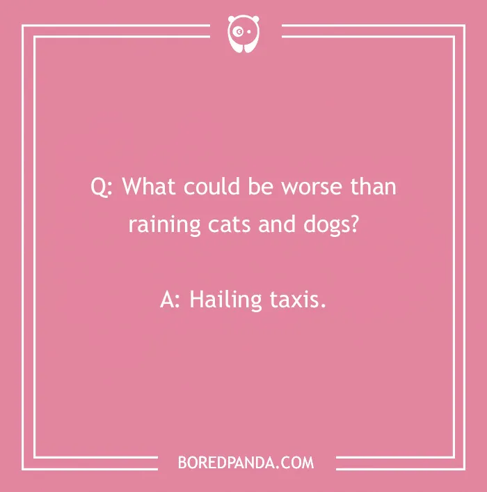 Dog joke on a pink background: "What could be worse than raining cats and dogs? Hailing taxis."