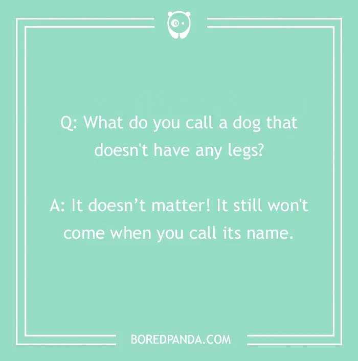 Dog joke on a green background: "What do you call a dog without legs? It won't come when you call its name."