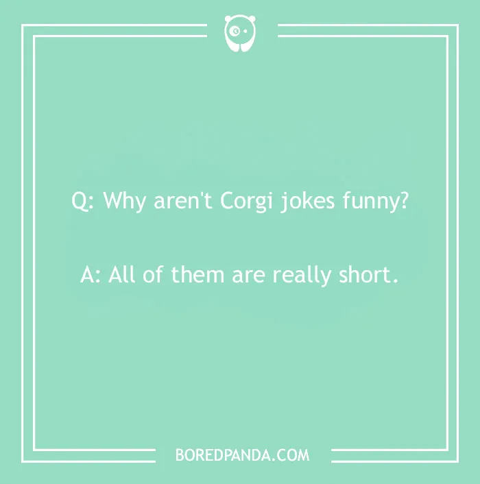 Corgi jokes image with a playful question and punchline, highlighting humor about dogs.