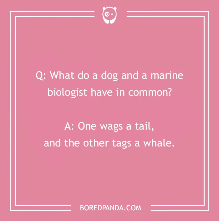Dog joke on pink background: "What do a dog and a marine biologist have in common? One wags a tail, and the other tags a whale."