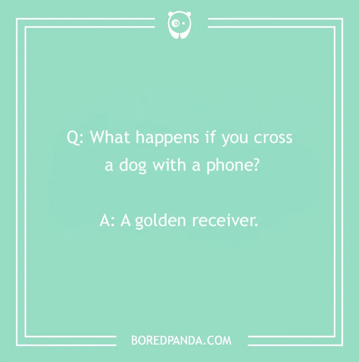 Dog joke: "What happens if you cross a dog with a phone? A golden receiver."