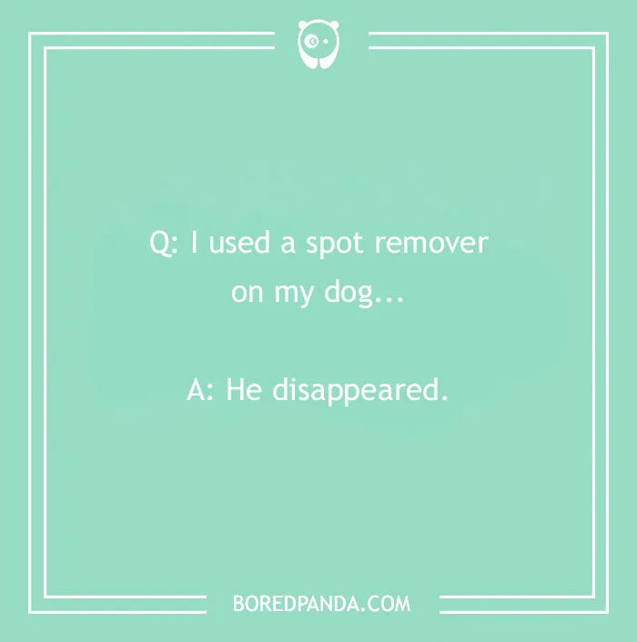 Dog joke on teal background: "Q: I used a spot remover on my dog... A: He disappeared."