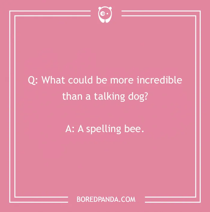 Dog joke on pink background: "Q: What could be more incredible than a talking dog? A: A spelling bee."