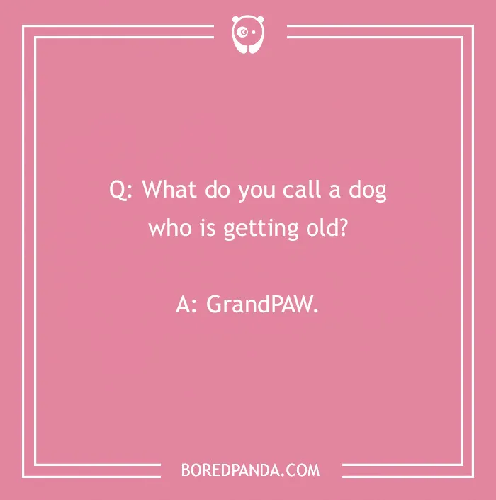 Tons Of Jokes About Dogs To Share With Your Good Boi Or Gal