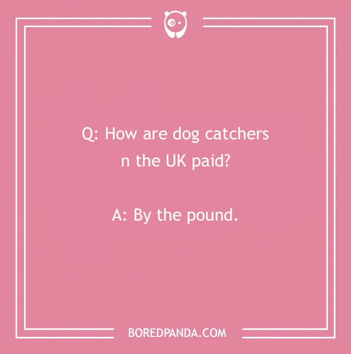 Funny dog joke on a pink background about UK dog catchers paid by the pound.