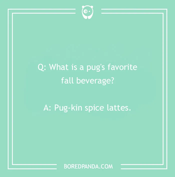 Dog joke about a pug's favorite fall drink: "Pug-kin spice lattes," on a green background.