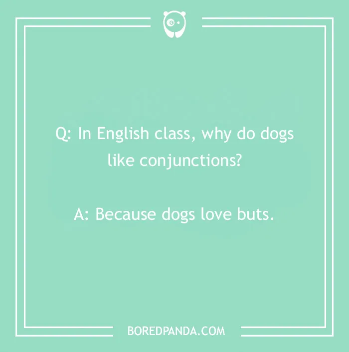 Tons Of Jokes About Dogs To Share With Your Good Boi Or Gal