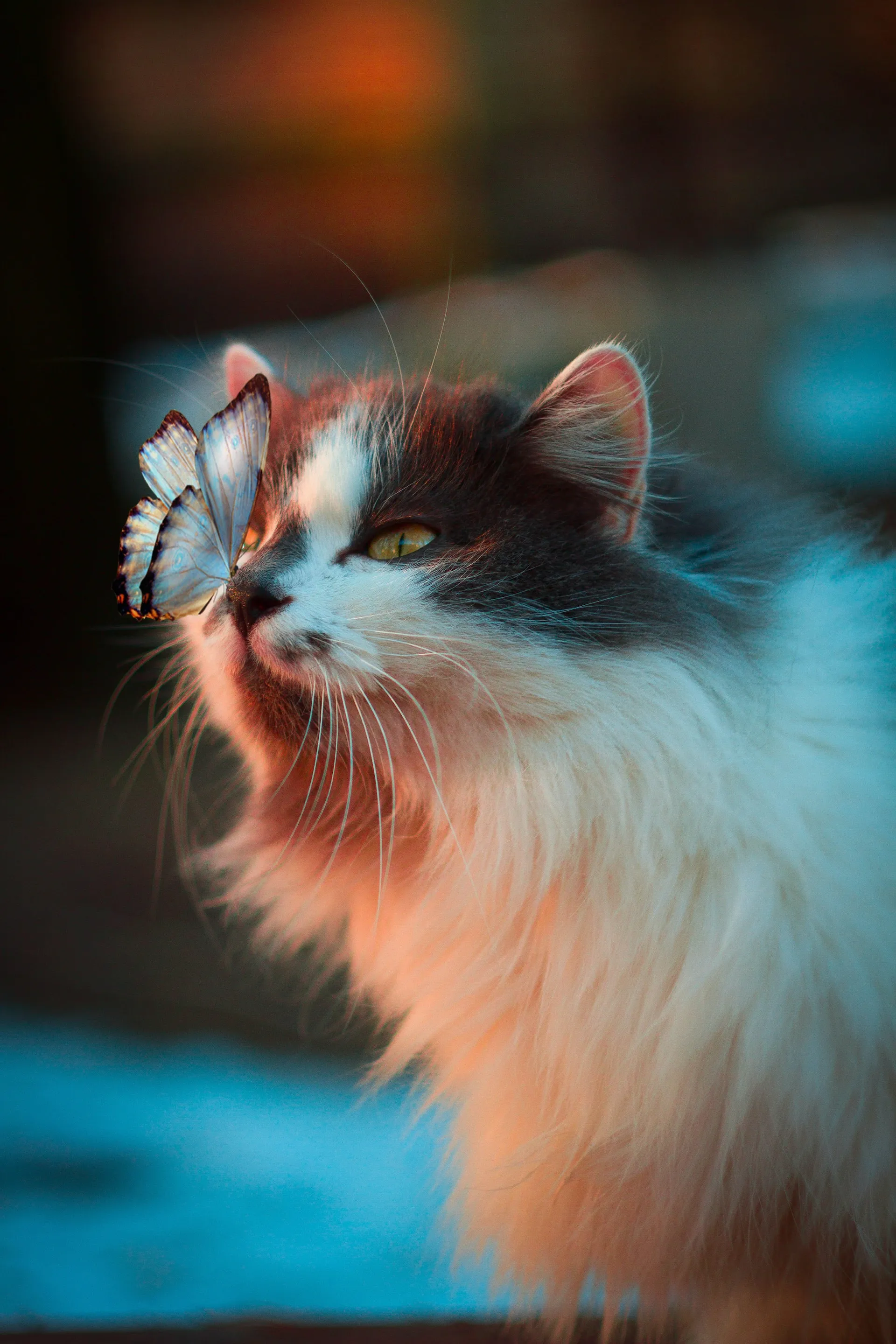 Cute Animal Pics We All Need