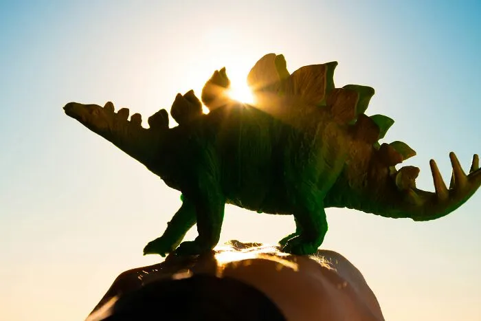 35 Random Facts That Nobody Really Asked For, But They Are Interesting To Know