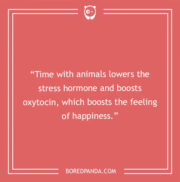 73 Mental Health Tips For An Improved Emotional Balance
