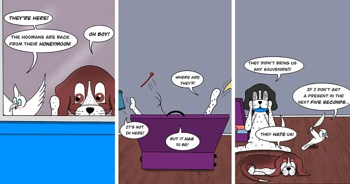My “Floof n’ Feathers” Comics Are Inspired By The Everyday Antics Of My Real-Life Pets (12 Pics)