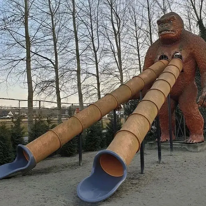 36 Imágenes malditas y confusas que carecen de contexto