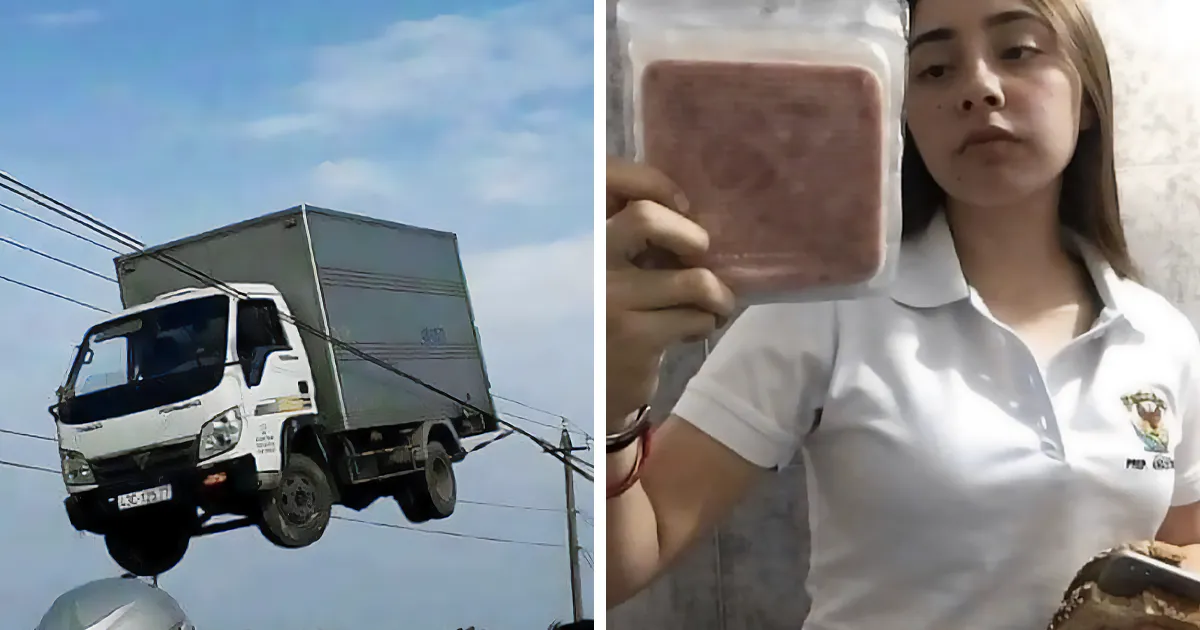 36 Imágenes malditas y confusas que carecen de contexto