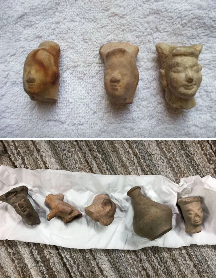 I Found This In The Yard Of My Old House In Agra, India