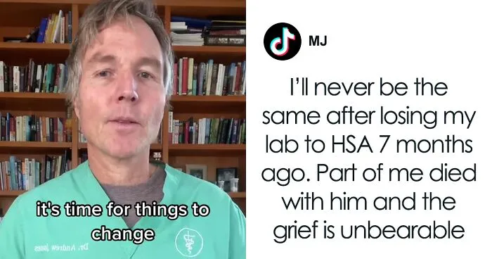 “It's Time For Things To Change”: Vet Discusses How Vital It Is To Grieve After Losing A Pet
