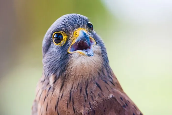 35 Random Facts That Nobody Really Asked For, But They Are Interesting To Know