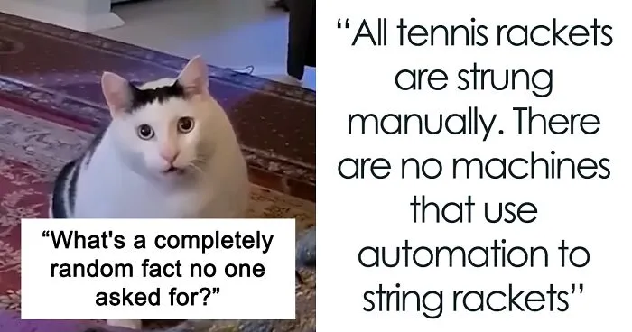 35 Random Facts That Nobody Really Asked For, But They Are Interesting To Know