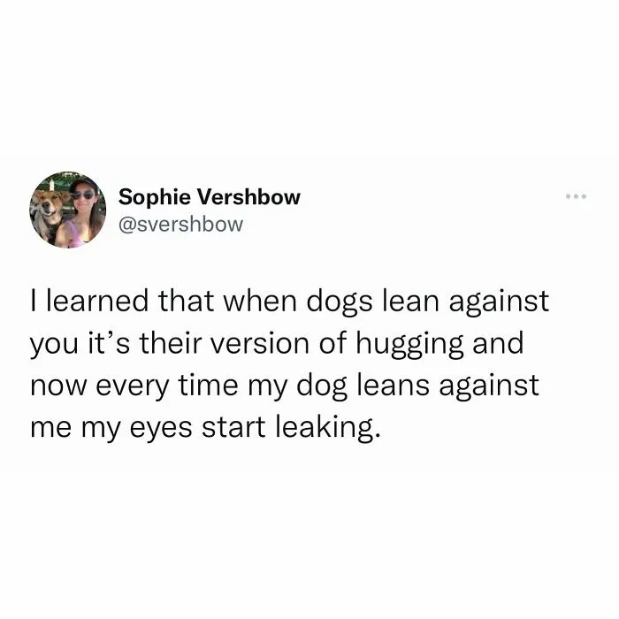 50 Funny And Relatable Memes For Your Entertainment, As Shared By This IG Page