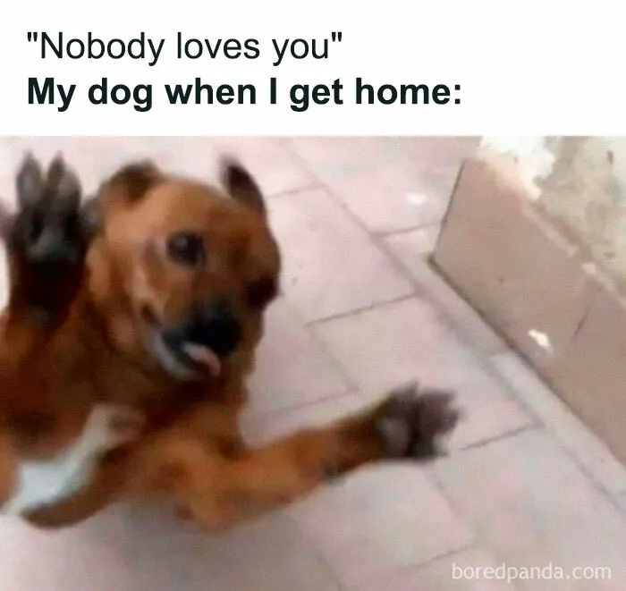 50 Of The Funniest Memes From This IG Account