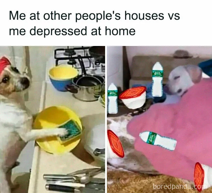 42 Funny Memes To Make A Dark Day A Little Brighter