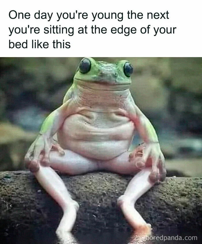 50 Of The Funniest Memes From This IG Account