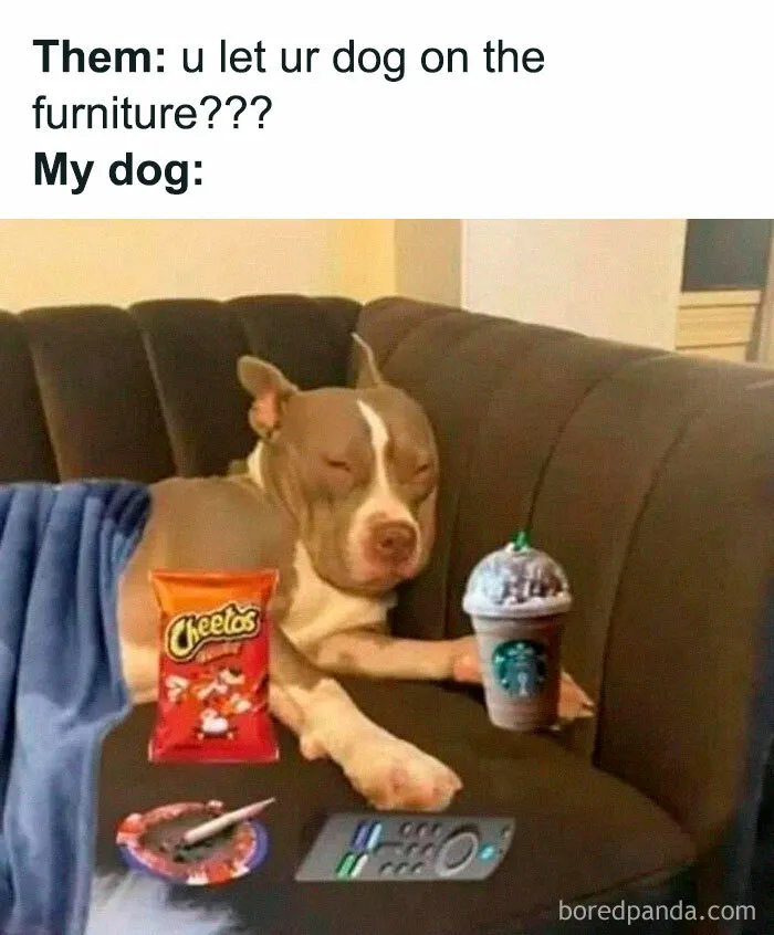 50 Of The Funniest Memes From This IG Account