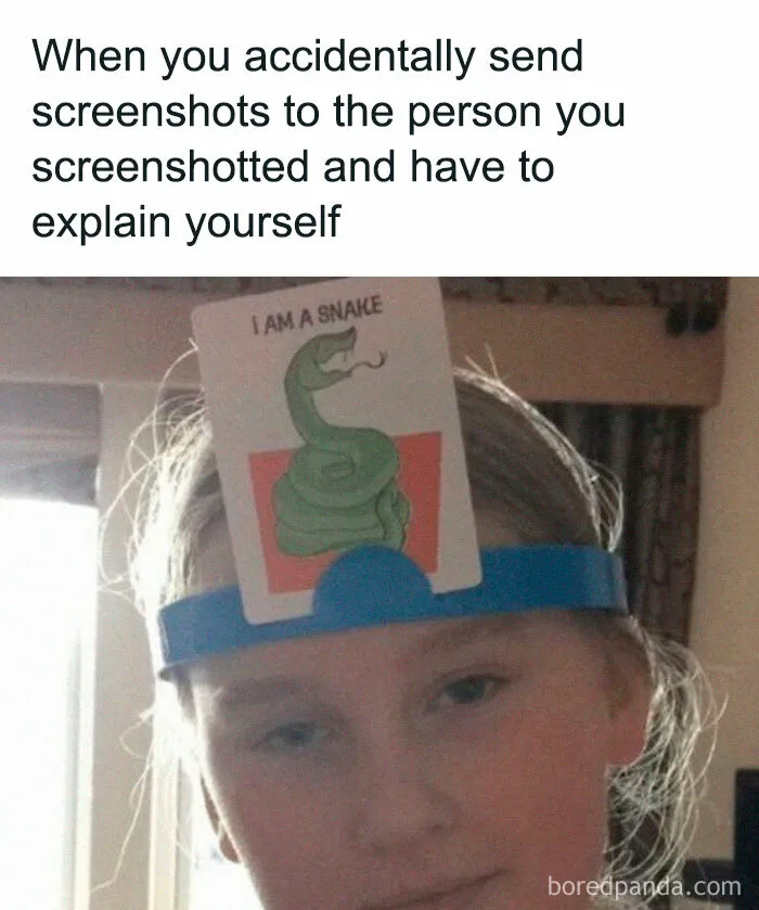 42 Funny Memes To Make A Dark Day A Little Brighter