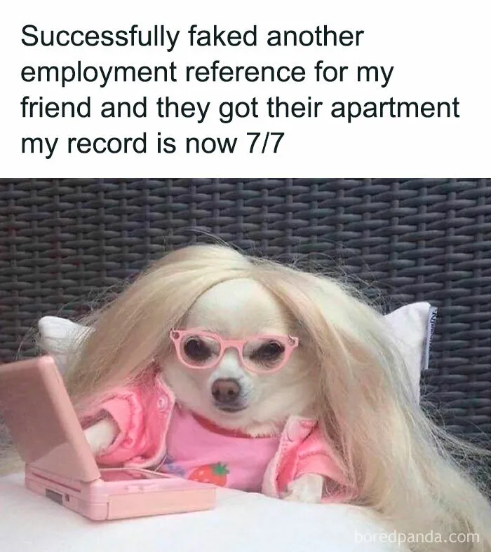 42 Funny Memes To Make A Dark Day A Little Brighter