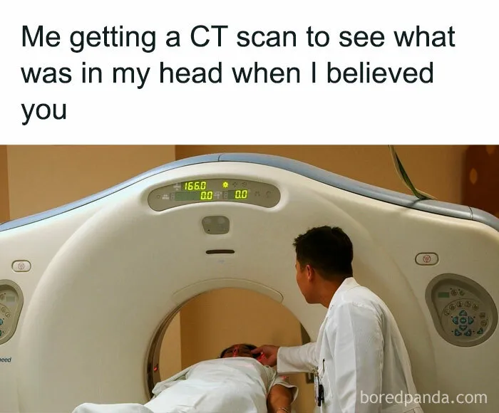 42 Funny Memes To Make A Dark Day A Little Brighter