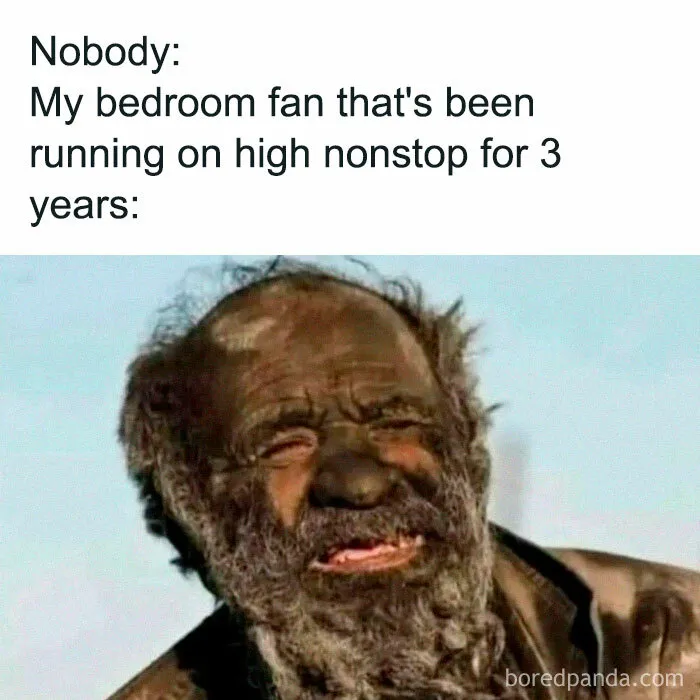 42 Funny Memes To Make A Dark Day A Little Brighter