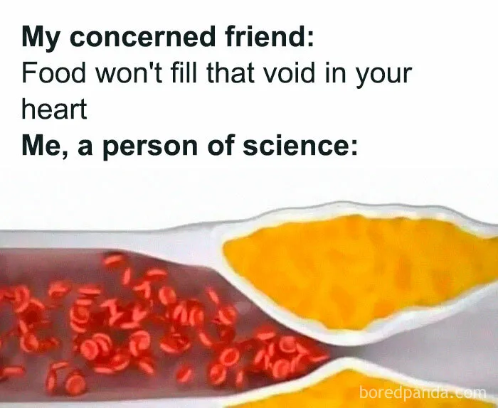 42 Funny Memes To Make A Dark Day A Little Brighter
