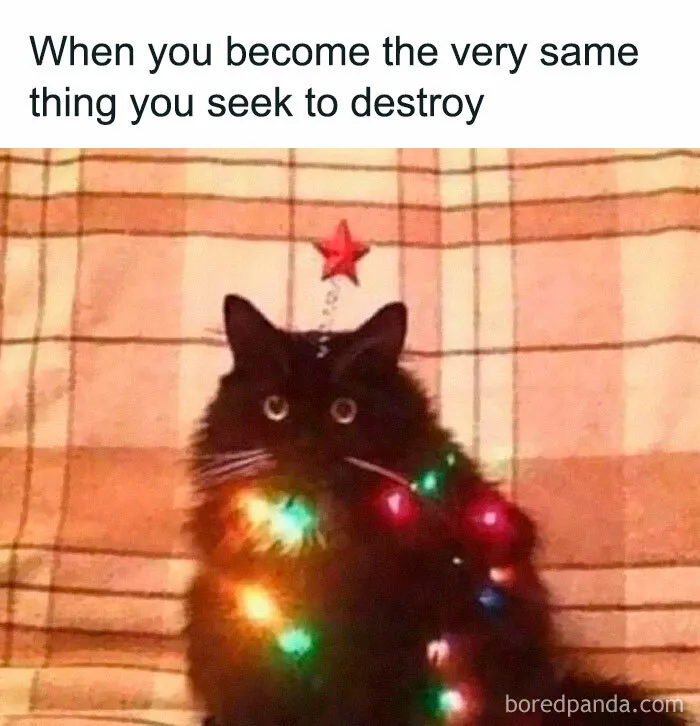 42 Funny Memes To Make A Dark Day A Little Brighter