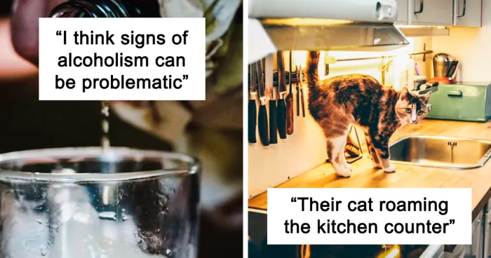 "What Is A Red Flag To See In Someone's Home?": 30 Honest Answers