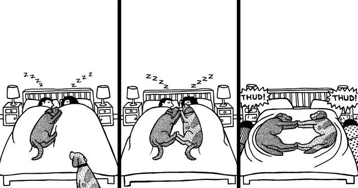45 Relatable Comics About The Reality Of Owning A Dog From The Series “Off The Leash”