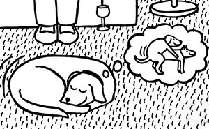 45 Relatable Comics About The Reality Of Owning A Dog From The Series “Off The Leash”