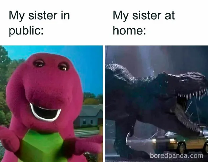 50 Funny Memes That Are Ripe With Sarcastic Undertones For The Whole Family To Enjoy (New Pics)