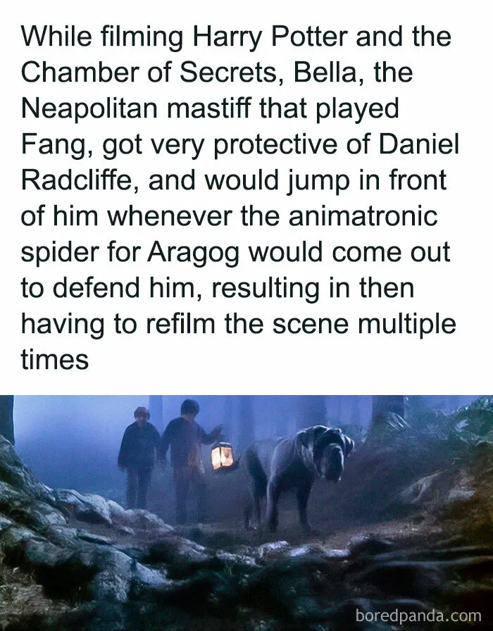 “Warning: This Page Will Ruin Your Childhood”: 45 Extremely Nostalgic Memes (New Pics)