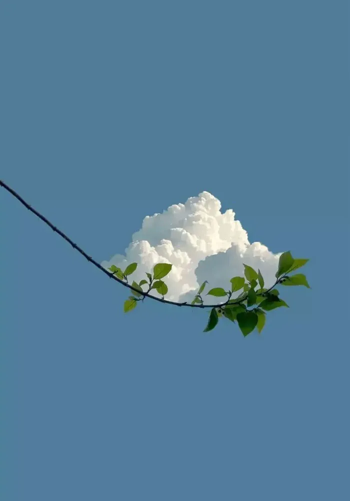 Perfectly Aligned Cloud