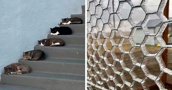 This Online Group Is Dedicated To Things That Are Very Satisfying, Here Are 50 Of The Best Ones