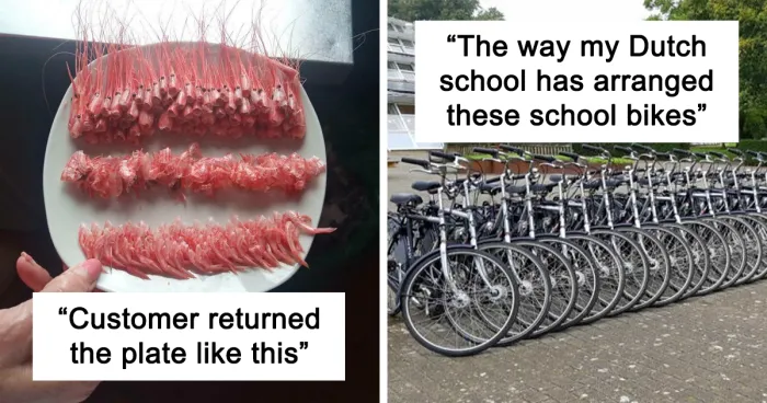 50 Times People Encountered Perfectly Organized Things And Just Had To Document Them