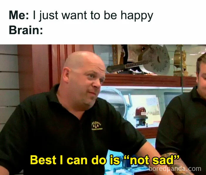 50 Memes You Might Find Painfully Relatable If You Could Use Some More Serotonin