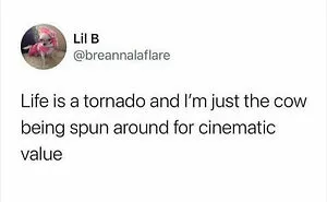 50 Memes You Might Find Painfully Relatable If You Could Use Some More Serotonin
