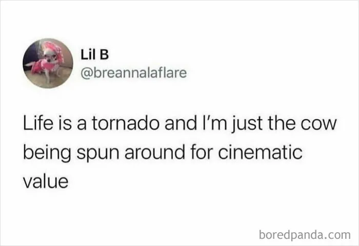 50 Memes You Might Find Painfully Relatable If You Could Use Some More Serotonin