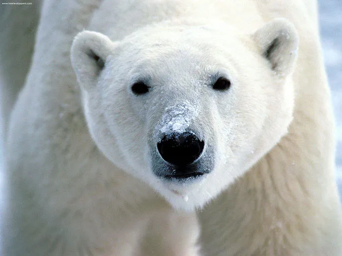 30 Simple Facts About The World To Entertain The Inner Child Within