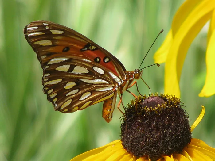 30 Simple Facts About The World To Entertain The Inner Child Within