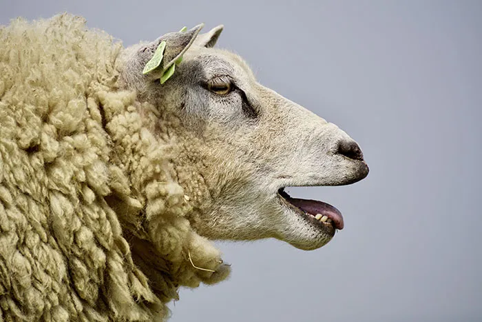 30 Simple Facts About The World To Entertain The Inner Child Within