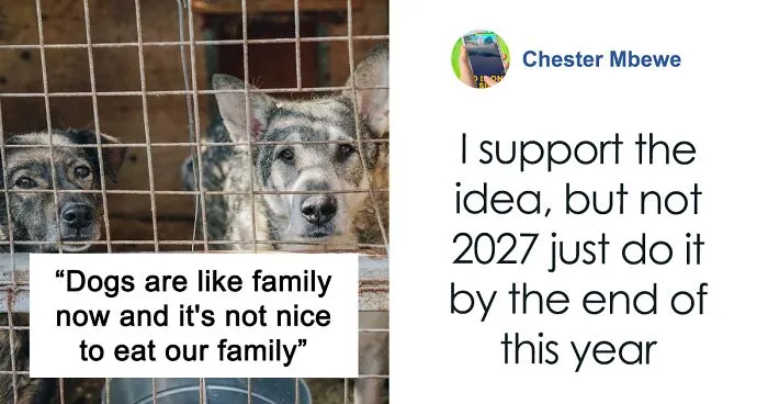 South Korea Bans Dog Meat Trade, Sparking Debate Between Older And Younger Generations