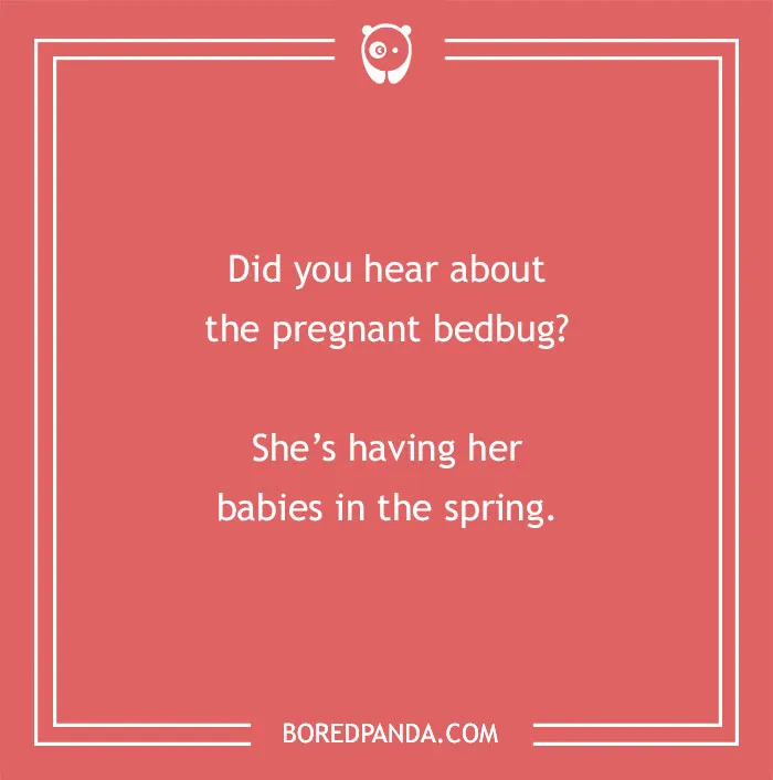 98 Spring Jokes To Make You Shine And Bloom 🌼