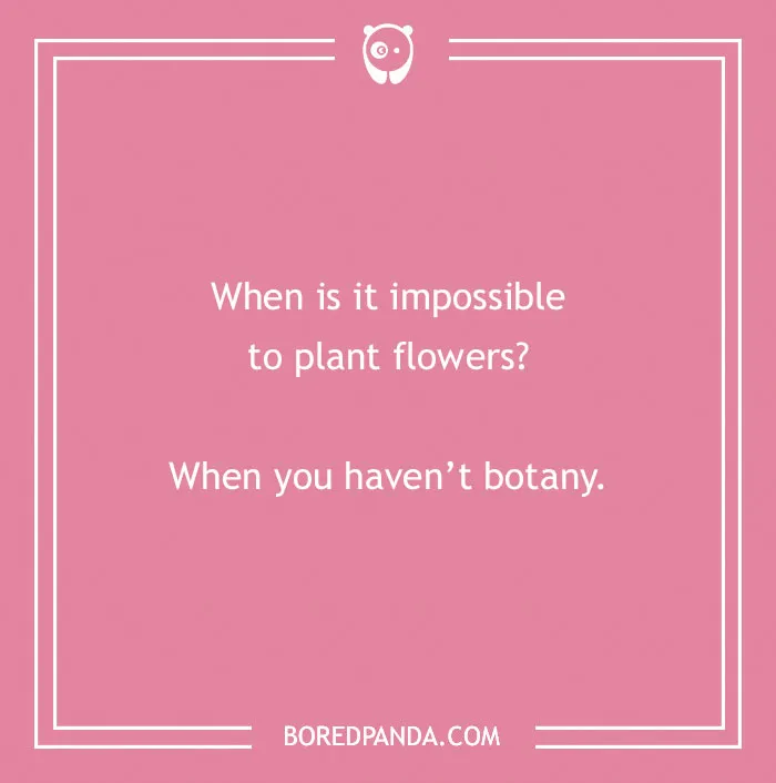 98 Spring Jokes To Make You Shine And Bloom 🌼