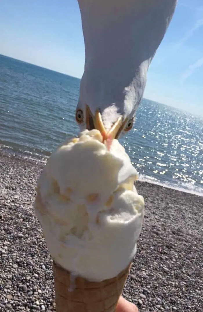 Foto en la playa
